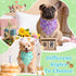 50 Set 5 Sanwuta Pcs Birthday Dog Bandanas Bulk Pastel Candy Sprinkles Bandanas for Dogs Triangle Kerchief Bibs Scarf