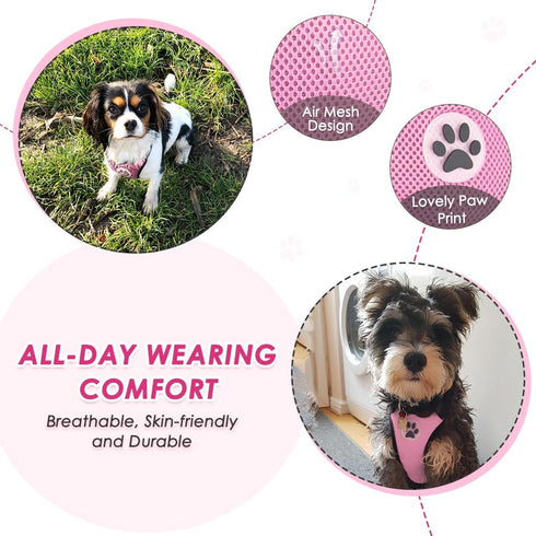 Lukovee Dog Seat Belt for Car, Adjustable Dog Car Harness for Large Medium Small Dogs, Soft Padded & Breathable Mesh