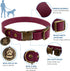 Wisedog Dog Collar and Leash Set Combo, Adjustable Pet Collars with Leashes for Small Medium Large Dogs
