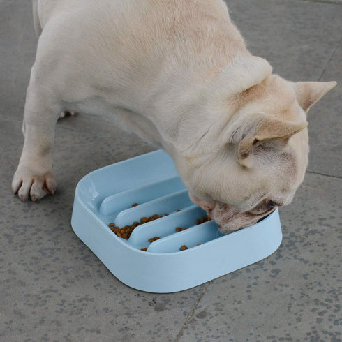 Healthy Slow Feeder Dog Bowl for French Bulldog - Striped Pattern, No Choking, Blue