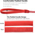 Dog Training Leash for Small to Medium Dogs - Chew Proof and Reflective Rope Dog Lead