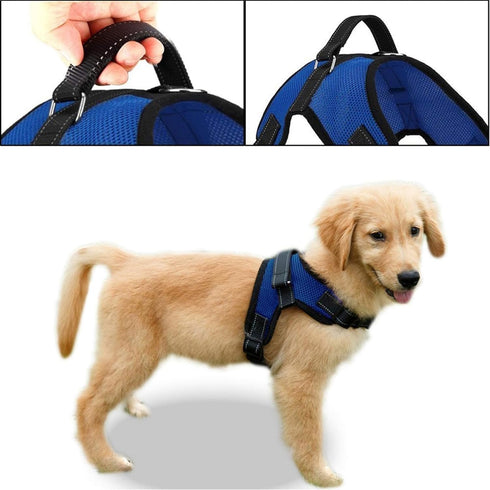 No Pull Reflective Adjustable Dog Harness with Handle - Comfortable Soft All Weather Mesh for Small, Medium, Large Dogs