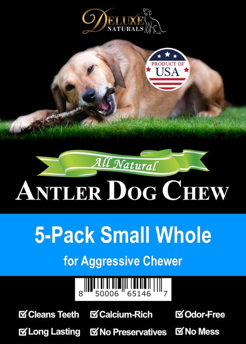 Elk Antler Chews for Dogs | Naturally Shed USA Collected Premium A-Grade Elk Antlers | 5-Pack Small Whole
