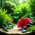 Juroicessry Red Artificial Flowers, Fake Flowers, Artificial Pine with Base Grass Fish Tank Ornament Aquatic Plant