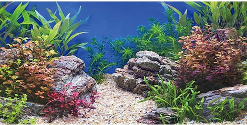 AWERT 36x24 inches Stone River Bed Fish Tank Background, Aquatic Plant Aquarium Background Vinyl