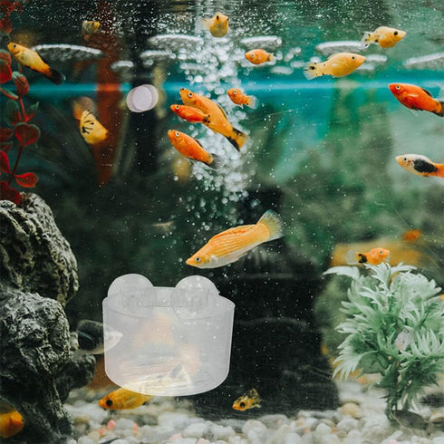 10pcs Fish Tank Planter Decor, Acrylic Plant Cup Holders for Fish Tank Supplies and Bait Feeder