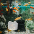 10pcs Fish Tank Planter Decor, Acrylic Plant Cup Holders for Fish Tank Supplies and Bait Feeder