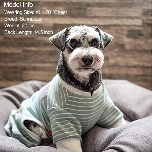 KYEESE Dog Pajamas Stretchable 4 Legs Striped Jumpsuit, Lightweight Onesie, Cozy Outfit for Dogs, Green Striped, Medium