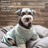 KYEESE Dog Pajamas Stretchable 4 Legs Striped Jumpsuit, Lightweight Onesie, Cozy Outfit for Dogs, Green Striped, Medium
