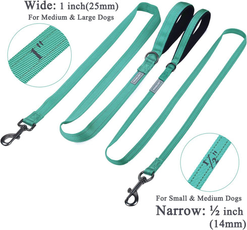 VIVAGLORY Dailyx Dog Leash, Puppy Leash for Training & Walking, Heavy Duty Double Layer Nylon, 6ft x 1in, Green