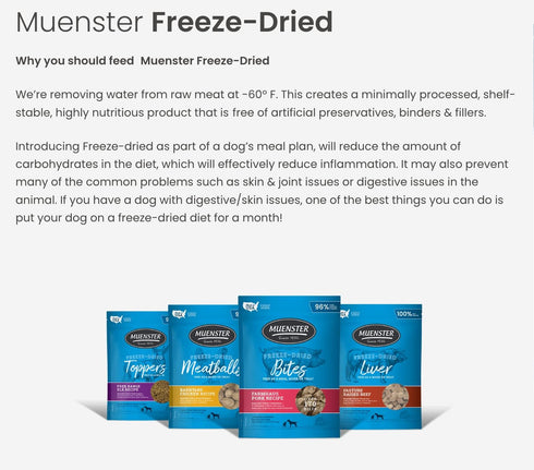 Muenster Freeze-Dried Limited Edition Pumpkin Spice Meatballs for Dogs, 4 oz Package
