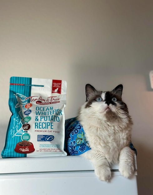 Tender & True Ocean Whitefish & Potato Recipe Cat Food, 3 lb