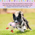 Rabbit Dog Toys Soccer Ball with Straps - Interactive Dog Balls for Medium Small Dogs