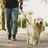VIVAGLORY Short Rope Dog Leash with Neoprene Padded Handle, Training & Walking Durable Dog Traffic Leashes with Highly Reflective Threads for Medium & Large Dogs, 18IN, Pink