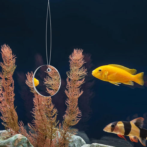 POPETPOP Betta Exercise Mirror Set, Double Sided Circle with Floating Ball for Fish Tank
