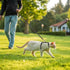 PAWCHIE Cat Harness with Leash and Collar Set - Adjustable H-shaped Harness with Glow in The Dark Pattern