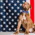 Elegant little tail Independence Day Dog Collar, Holiday Pet Collar with Bow, Adjustable for Small Dogs