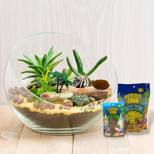 Pack, 5 Needzo All in One Hermit Crab DIY Starter Gravel, Food, Mister Trainer, Sponge, and Palm Tree Feeder, Beginner