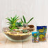 Pack, 5 Needzo All in One Hermit Crab DIY Starter Gravel, Food, Mister Trainer, Sponge, and Palm Tree Feeder, Beginner