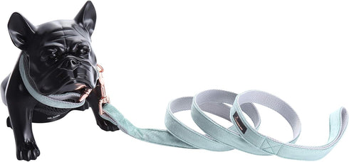 ARING PET Velvet Dog Collar and Leash Set, Soft & Comfy, Adjustable Collars for Dogs