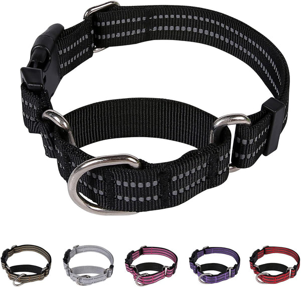 Martingale Dog Collar, Reflective Nylon Puppy Collar with Quick Release Buckle, Adjustable Training No Slip (X-Small,