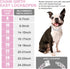 Silver Cuban Dog Chain Collars, Metal Choke Collar with Secure Buckle, Pet Crystal Necklace for Small Medium Large Dogs