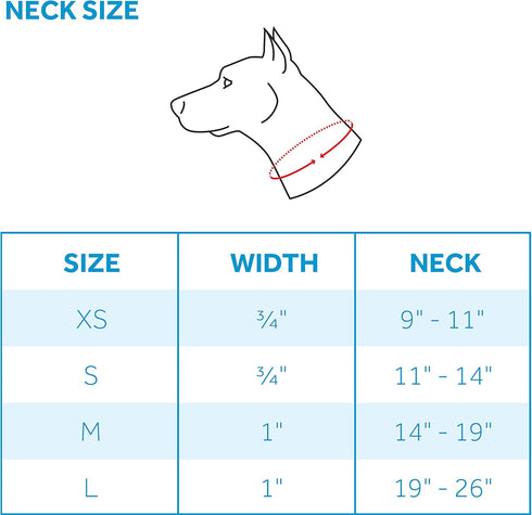 RC Pets 3/4 Inch Easy Clip Web Martingale Training Dog Collar, X-Small, Red Tartan
