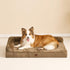 EHEYCIGA Memory Foam Orthopedic Dog Beds, Washable Dog Bed with Waterproof Lining, Removable Cover, 36x27 Inches, Camel