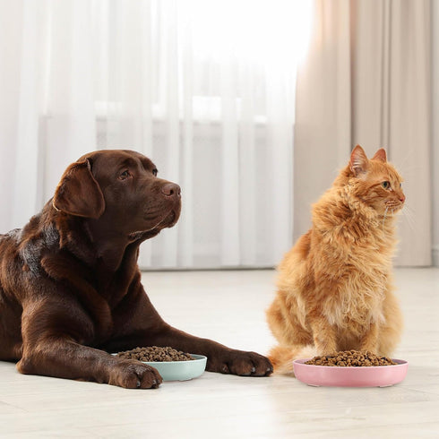 2 Pcs Cat Slow Feeder Bowl, Fun Interactive Cat Dish for Healthy Eating, Dishwasher Safe, Green, Pink