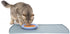 PetFusion Small Waterproof Dog & Cat Food Mat, 18x12", FDA Grade Silicone, Non-Toxic, Multiple Sizes