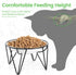 Ceramic Cat Bowls, 2 Pack - Raised, Whisker Friendly, Anti-Vomiting Cat Food Plates - Hygienic, Secure Material, Elegant Stand, 10 oz, for Indoor Cats & Kittens