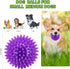 2.5" Squeaky Dog Balls for Small Medium Dogs, 6 Pack Chew Toys with Spike for Teeth Cleaning (green)