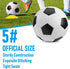 DHYLRICHER 6 Pack 5/4/3 Classic Soccer Balls Size Includes Ball Pump and Net BagSoccer Training Ball Practice