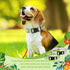 4 Pack Dog Collar Floral Breakaway, Adjustable Spring and Summer Pet Collars for Dog Puppy Decoration (Medium)
