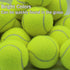 Tennis Balls, 20 Pack Training Tennis Balls, High Elasticity Practice Balls for Beginner, Exercise Playing Balls for