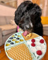 BUDDY BUDDER Superberry Snoot + Pumpkin Pup Blue Dog Enrichment Mat Combo, 100% Natural Dog Peanut Butter, 17oz Jars