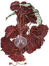 2Pcs Artificial Reptile Plant, Plastic Simulation Vine Aquarium Fish Leaves Decoration with Suction Cup