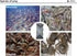 2PCS 1PCS or Crab Trap Fish Trap Minnow Trap Lobster Trap Crab Pot net Traps Crab Snare; Crawfish Catfish Shrimp Bait