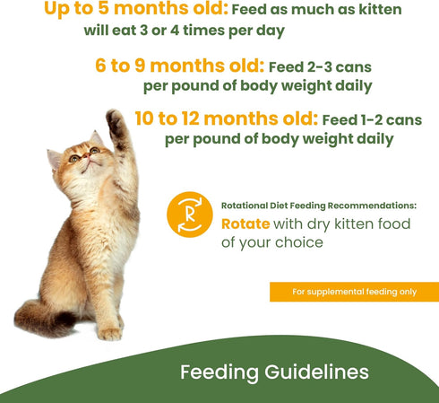 almo nature HQS Natural Kitten, Additive Free, Grain Free, Adult Cat Canned Wet Food, Pate