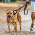 4 Pieces No Tangle Dog Leash Couplers Black Double Clip Leash for Dogs, Heavy Duty Nylon Leash Splitter for Large Dogs