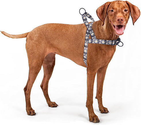 No Pull Dog Harness, Easy Walk for Small, Medium, Large Pets, Floral Pattern Safety Nylon Training Harness (Daisy, L)
