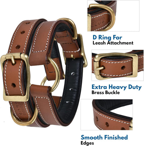 Genuine Leather Adventure Dog Collar, Full Grain Heavy Duty, Inner Cushioned Padding, Medium, Large & XL Dogs, Brown