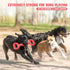 Interactive Long Lasting Dog Tug-of-war Toy, 15 Inch Natural Rubber for Medium Large Breed Dogs