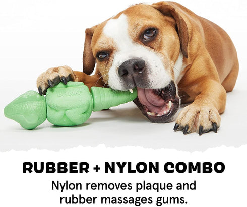 Barkbox Super Chewer Tough Dog Chew Toys for Aggressive Chewers, Dental Stimulating Iguana - Large