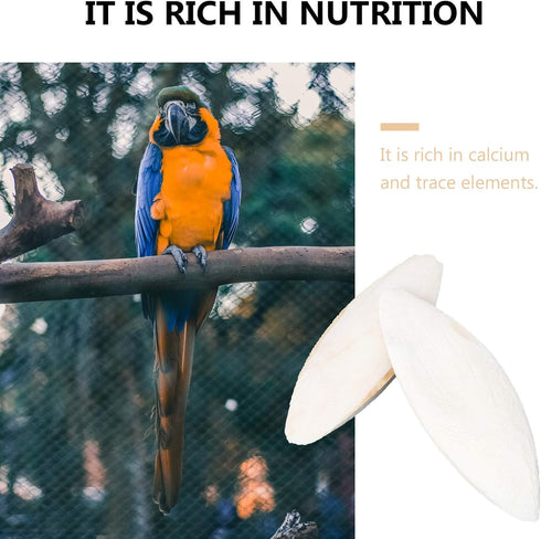 12pcs Bird Cuttlebone Chew Toy, Cuttlefish Bones for Parrot Cage Toys, 10cm Bird Bite Toy