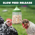 Omlet 300g 2 Pendant Peck Toy | Interactive Slow-Feed Chicken Treat Dispenser | Boredom Busting Enrichment for Hens |