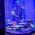 Aquarium Ornament - Classical Resin Castle Decorations, Realistic Details Castle for Fish Tank