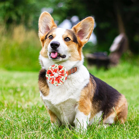 12pcs Dog Collar Flowers with Beads, Pet Collar for Small and Medium Dogs, Grooming Accessories Attachment