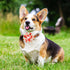 12pcs Dog Collar Flowers with Beads, Pet Collar for Small and Medium Dogs, Grooming Accessories Attachment