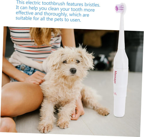 2pcs Electric Toothbrush for Pets Lightweight and Portable and Gums Cleaning for Dogs and Cats Random No Batteries